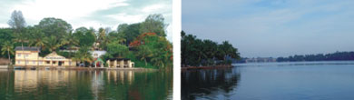 Water Way